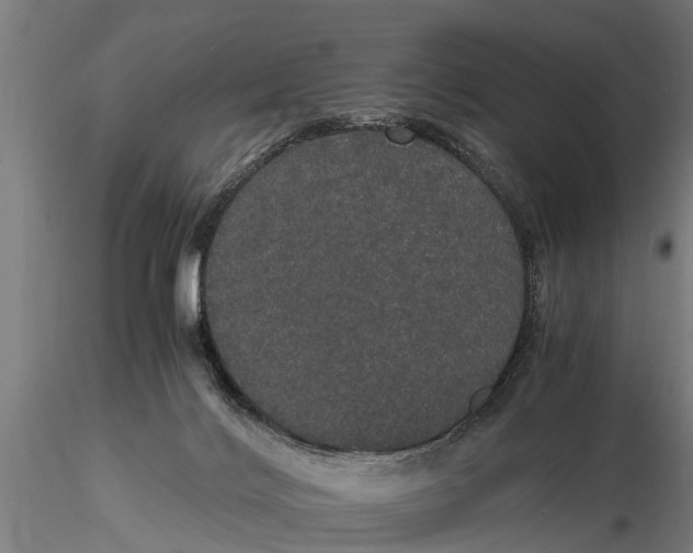 X0000116120028200912141056