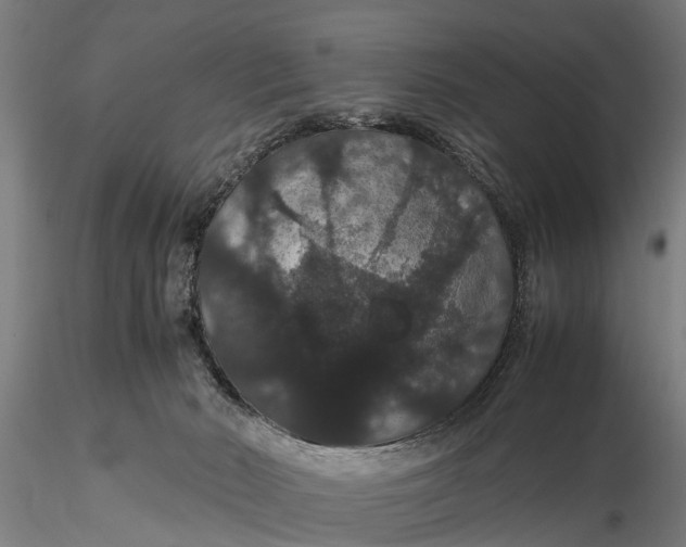 X0000116120030200912141055