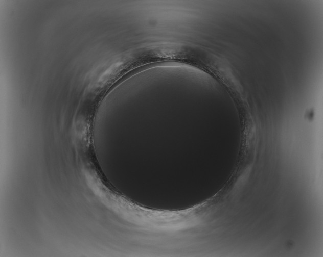 X0000116120031200912141055