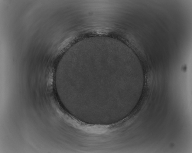 X0000116120032200912141055