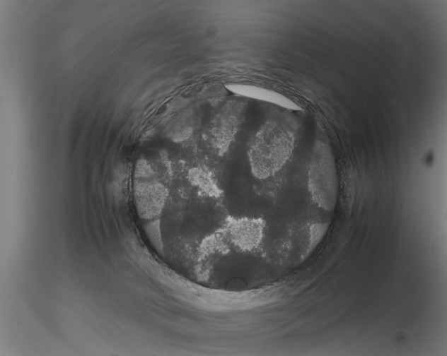 X0000116120034200912141055