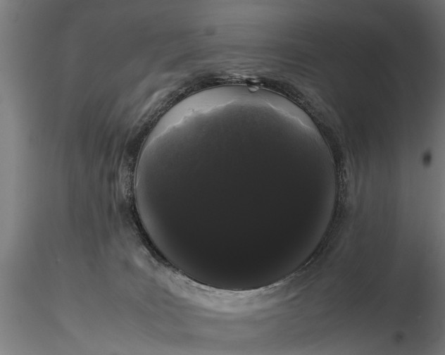 X0000116120035200912141055