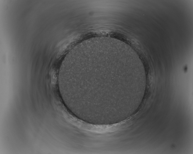 X0000116120037200912141055