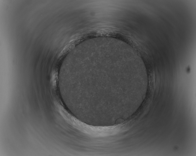 X0000116120038200912141055