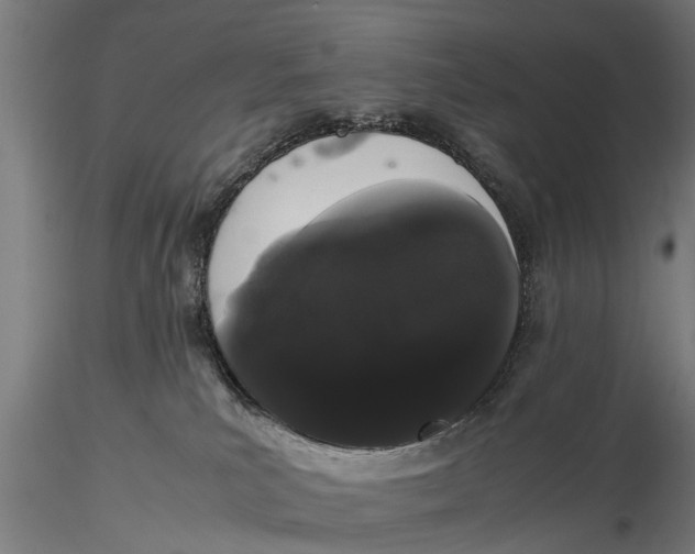 X0000116120039200912141055