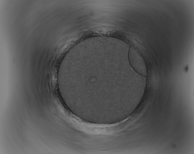 X0000116120040200912141055