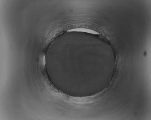 X0000116120041200912141055