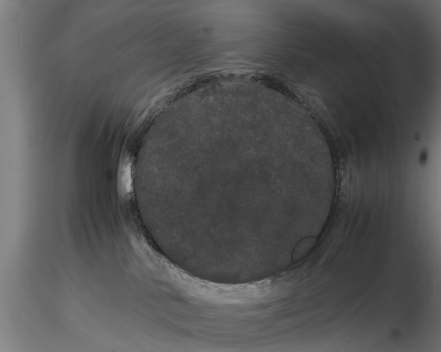 X0000116120042200912141055