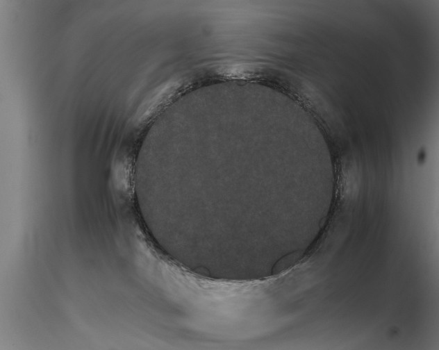 X0000116120044200912141055