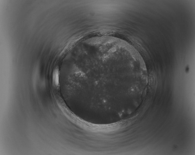 X0000116120046200912141055