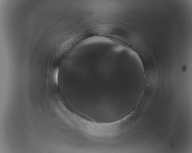 X0000116120047200912141055