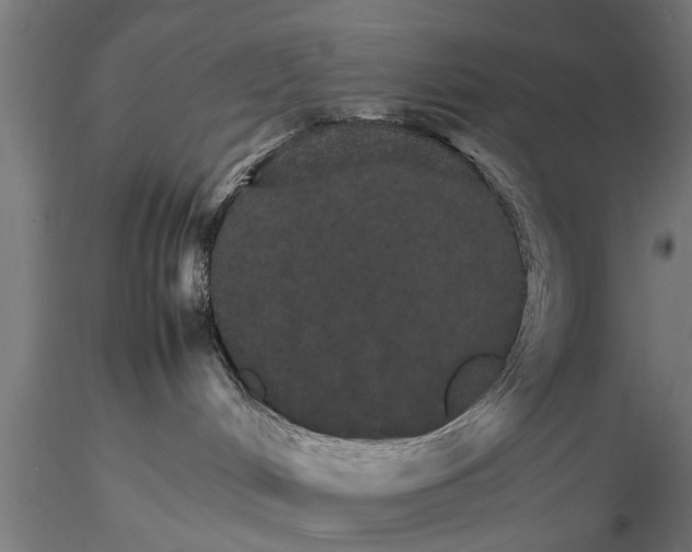 X0000116120048200912141055