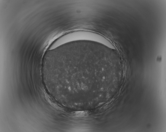 X0000116120050200912141054