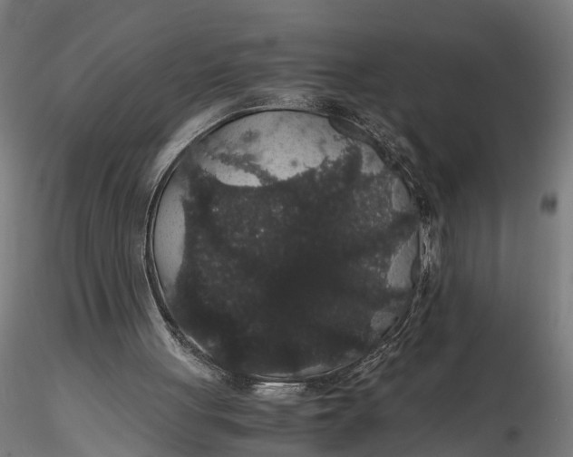 X0000116120051200912141054