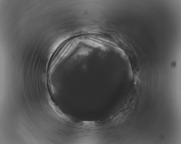 X0000116120052200912141054