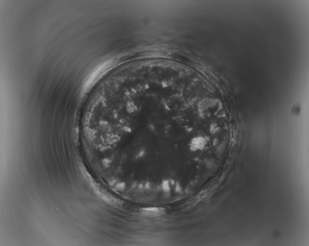 X0000116120053200912141054