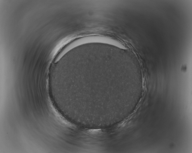 X0000116120054200912141054