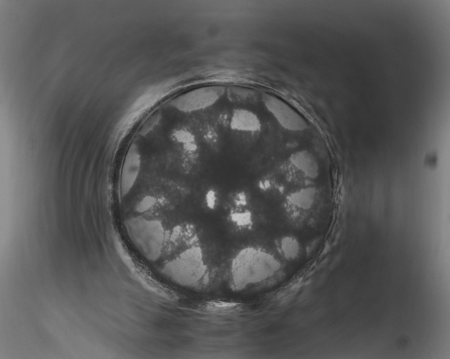 X0000116120055200912141054