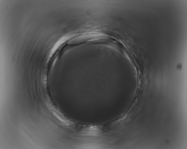 X0000116120056200912141054