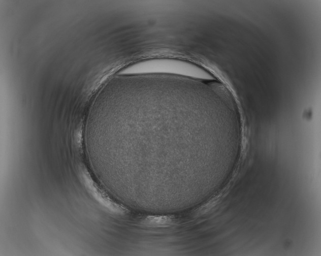 X0000116120057200912141055