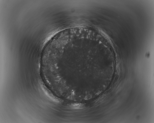 X0000116120059200912141055