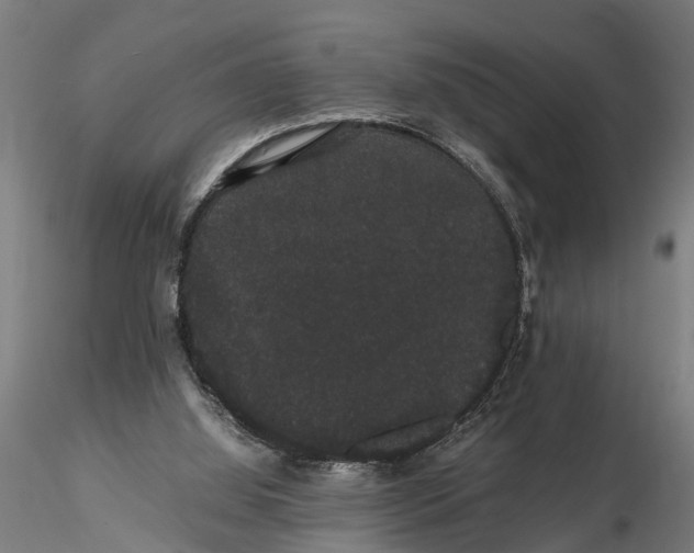 X0000116120060200912141055