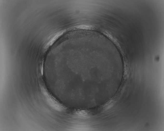 X0000116120062200912141055