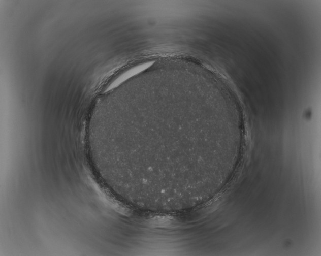 X0000116120066200912141055