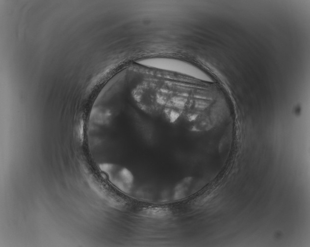 X0000116120067200912141055