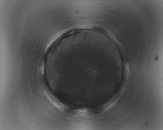 X0000116120068200912141055