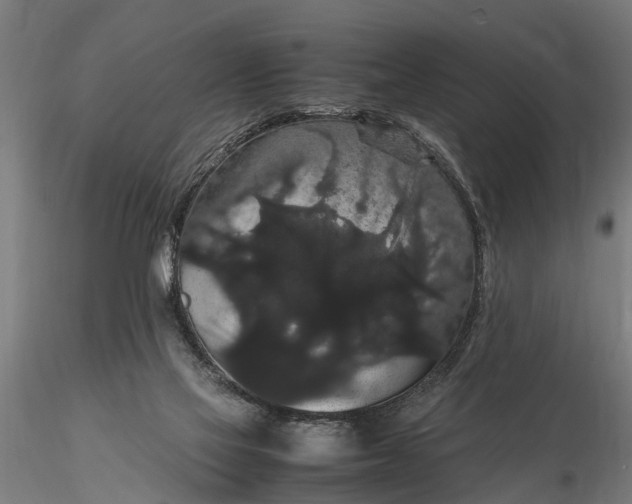 X0000116120069200912141055