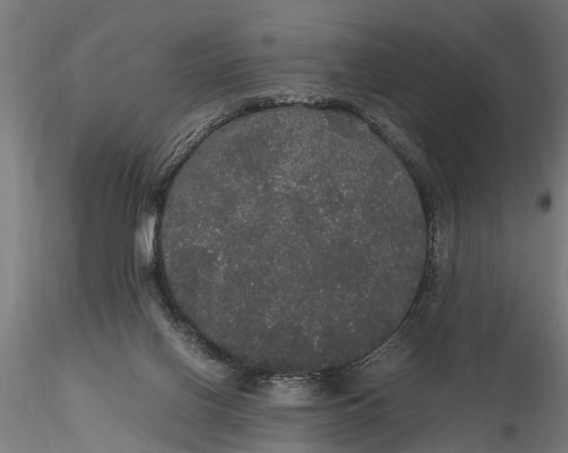 X0000116120070200912141055