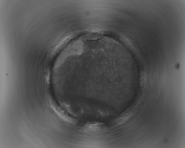 X0000116120072200912141055