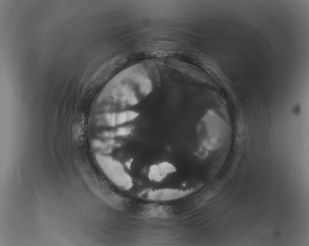 X0000116120073200912141055