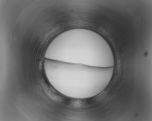 X0000116120074200912141055