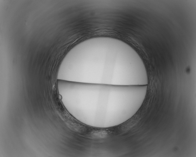 X0000116120075200912141055