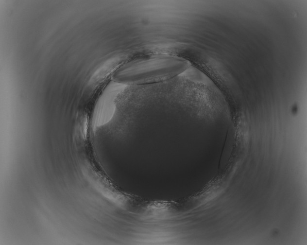 X0000116120076200912141055