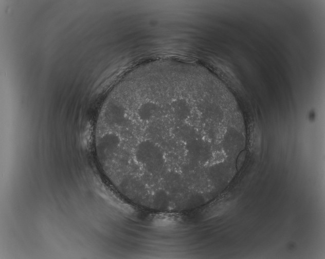 X0000116120077200912141055