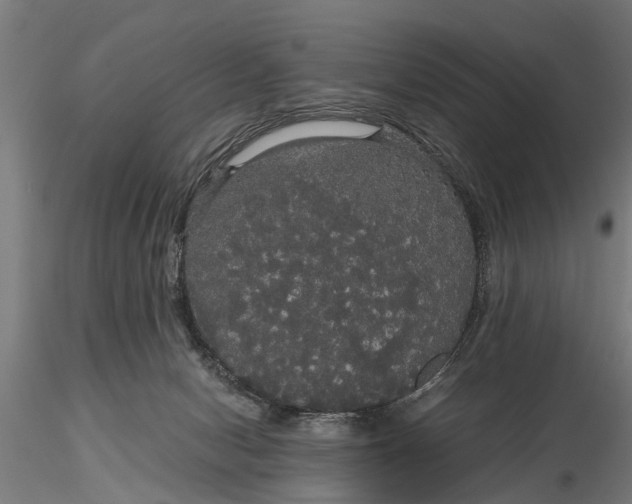 X0000116120078200912141055