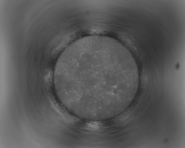 X0000116120079200912141055