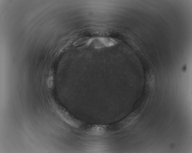 X0000116120080200912141055