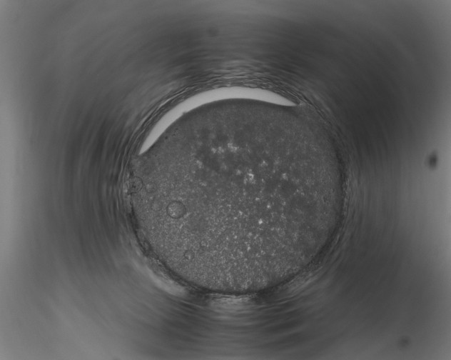 X0000116120081200912141055