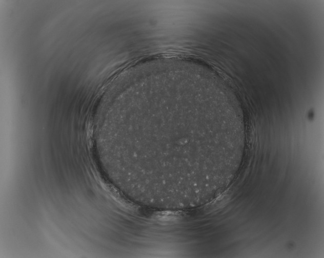X0000116120082200912141055