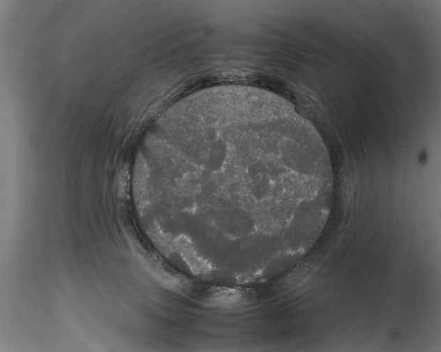 X0000116120083200912141055
