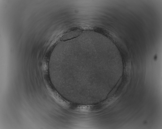 X0000116120084200912141055