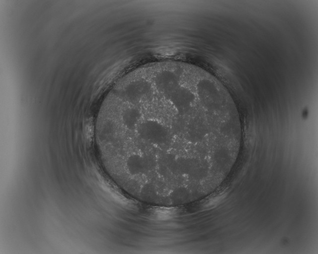 X0000116120085200912141055