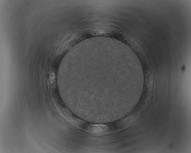 X0000116120087200912141055
