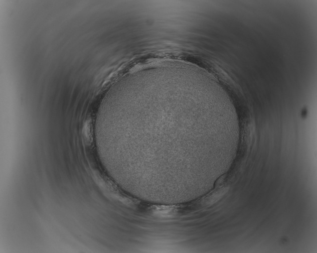 X0000116120088200912141055
