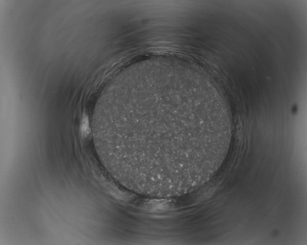 X0000116120089200912141055