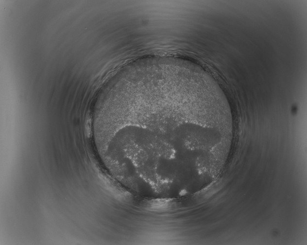 X0000116120090200912141055